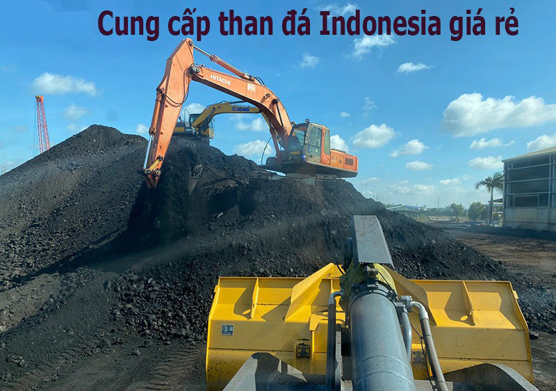 Cung cấp than đá Indonesia giá rẻ, chất lượng cao