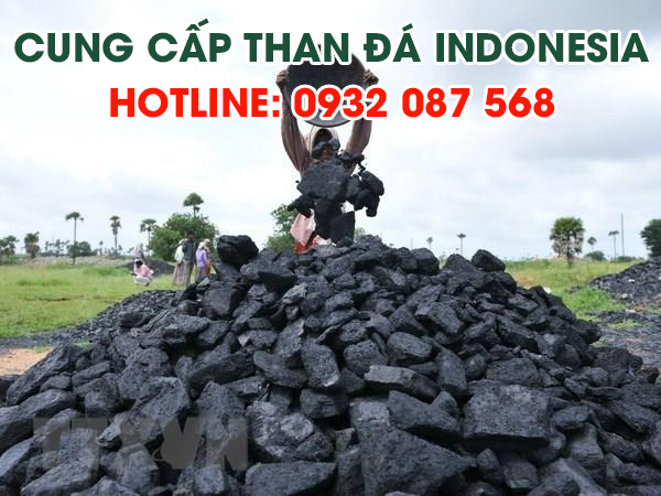 Dịch vụ cung cấp than đá Indonesia giá rẻ uy tín hàng đầu