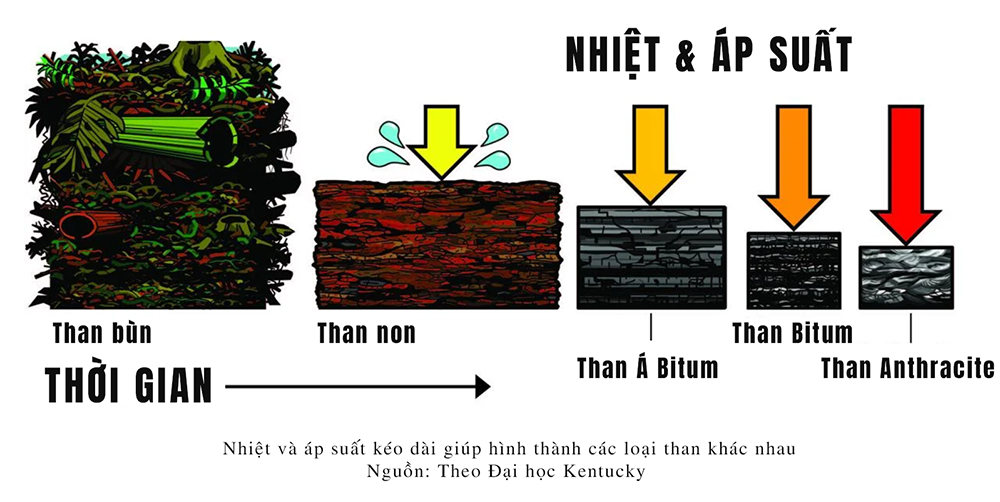 su-hinh-thanh-cua-than-da